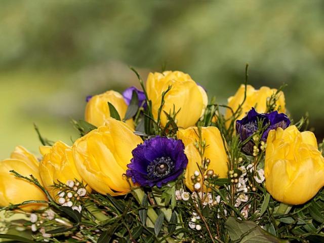 Renoncules, tulipes, anémones, amaryllis : retrouvez les fleurs d'hiver en boutique